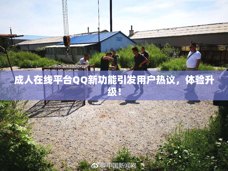 成人在线平台QQ新功能引发用户热议，体验升级！