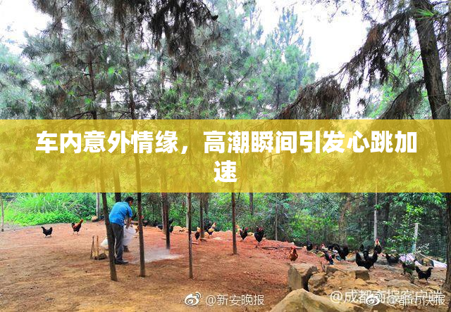 车内意外情缘，高潮瞬间引发心跳加速