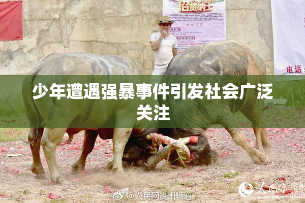 少年遭遇强暴事件引发社会广泛关注