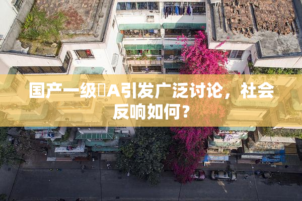 国产一级婬A引发广泛讨论，社会反响如何？