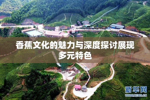 香蕉文化的魅力与深度探讨展现多元特色
