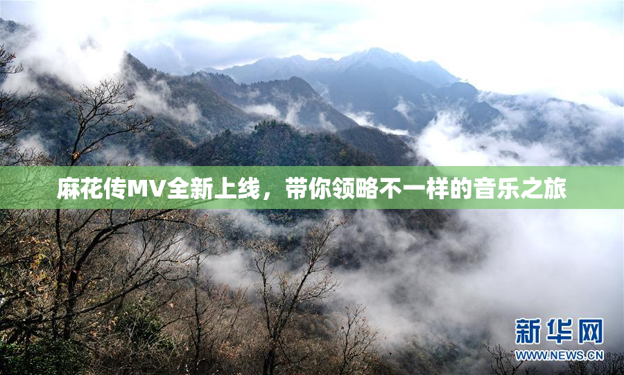 麻花传MV全新上线，带你领略不一样的音乐之旅