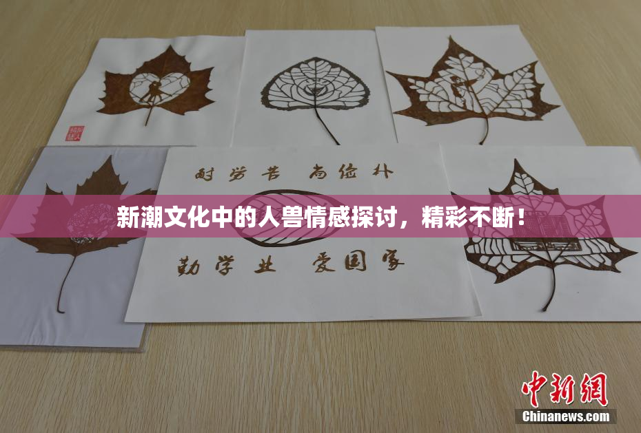 新潮文化中的人兽情感探讨，精彩不断！