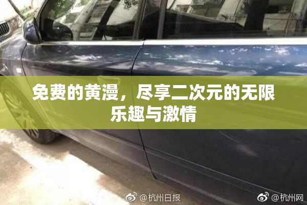 免费的黄漫，尽享二次元的无限乐趣与激情