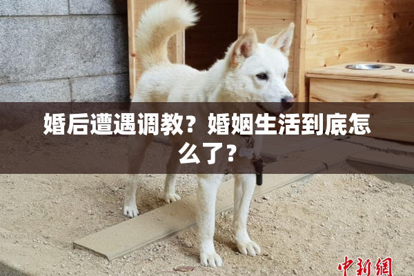 婚后遭遇调教？婚姻生活到底怎么了？