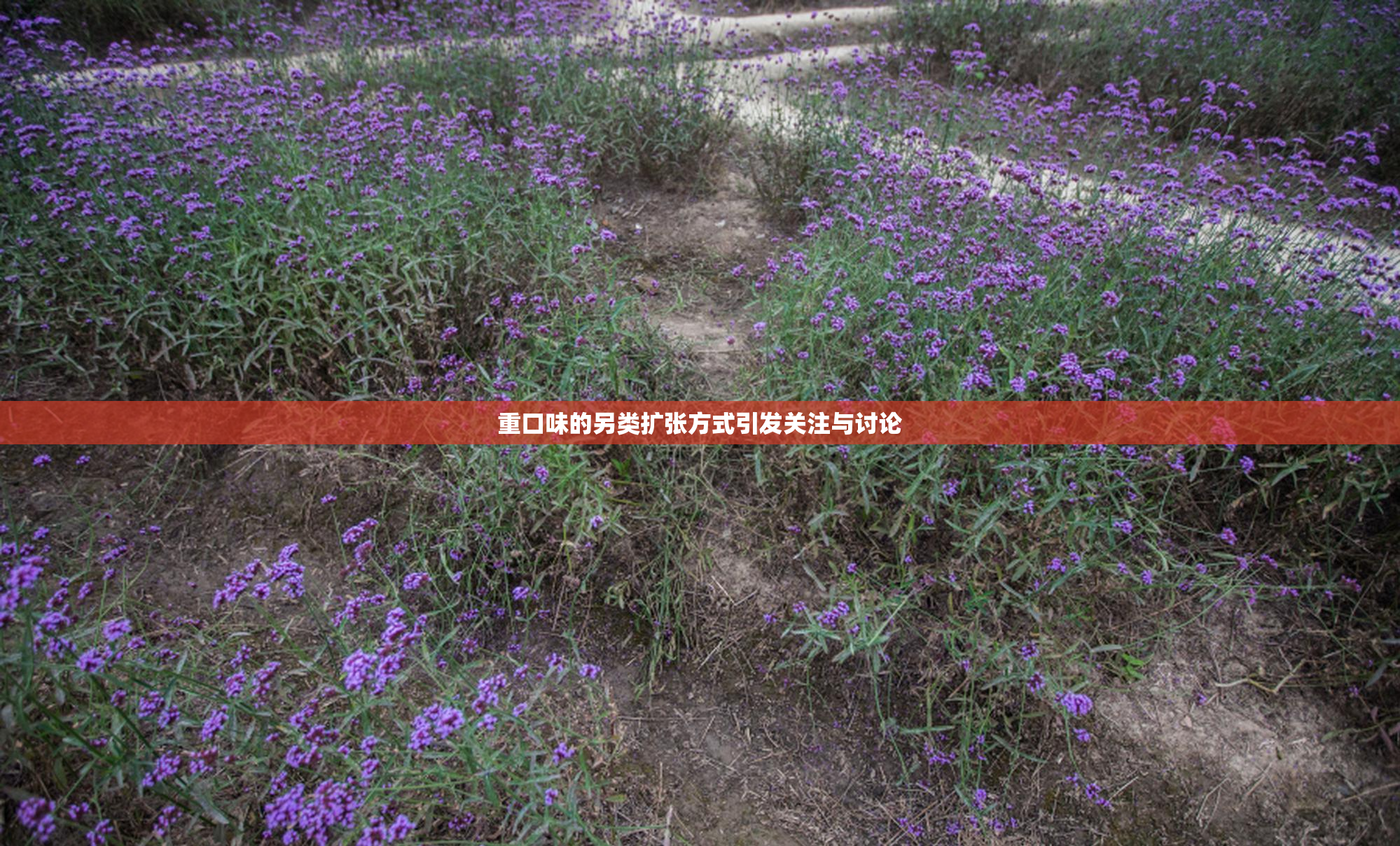 重口味的另类扩张方式引发关注与讨论
