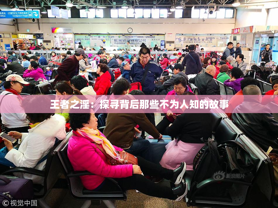 王者之淫：探寻背后那些不为人知的故事