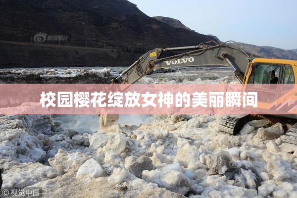 校园樱花绽放女神的美丽瞬间