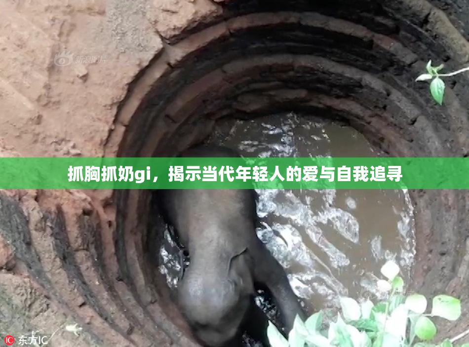 抓胸抓奶gi，揭示当代年轻人的爱与自我追寻