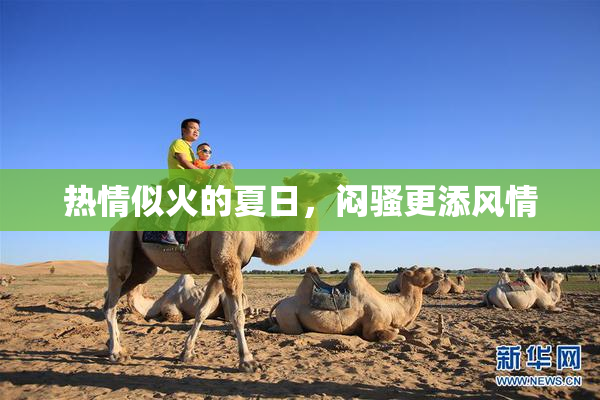 热情似火的夏日，闷骚更添风情