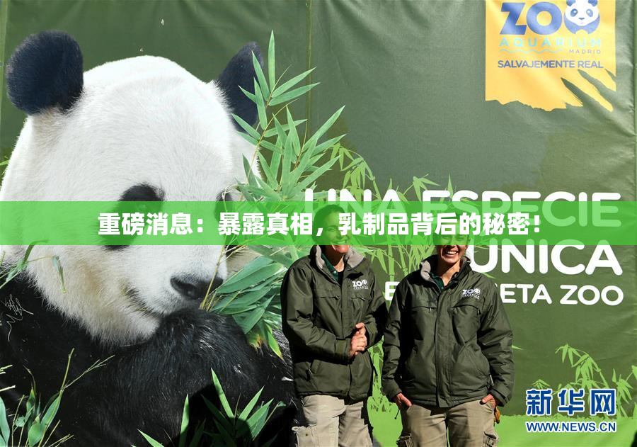重磅消息：暴露真相，乳制品背后的秘密！