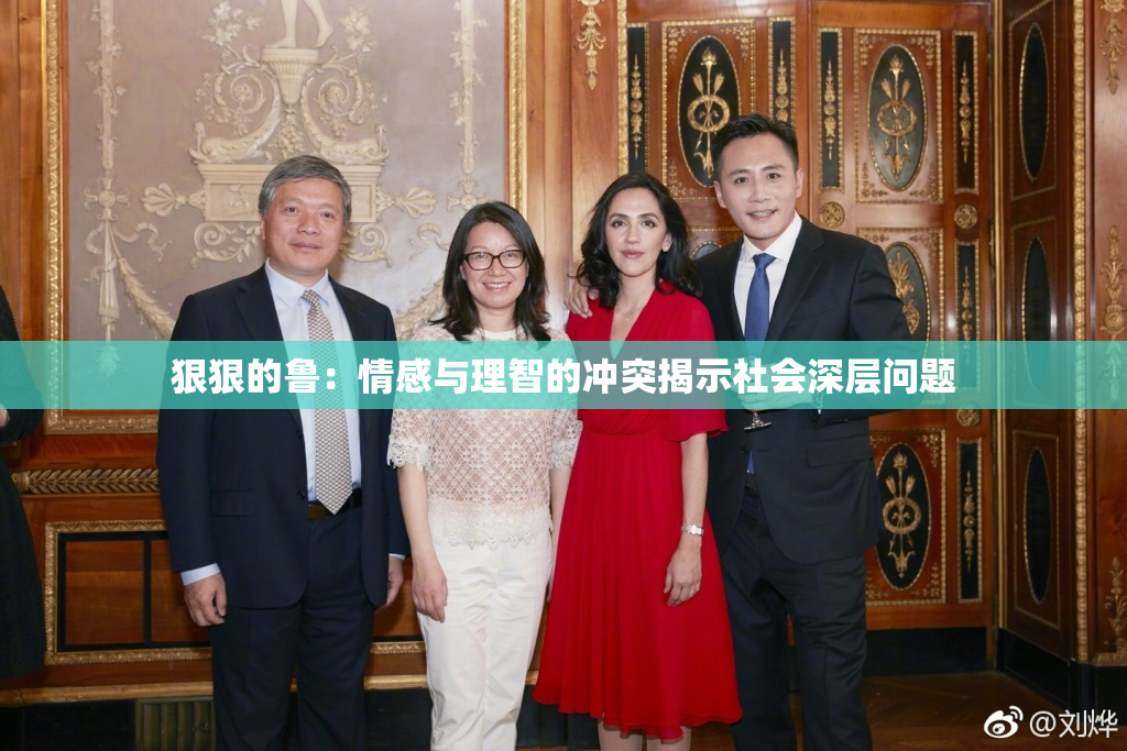 狠狠的鲁：情感与理智的冲突揭示社会深层问题