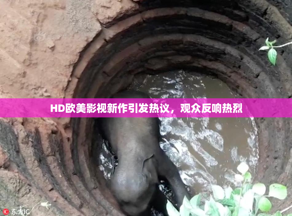 HD欧美影视新作引发热议，观众反响热烈