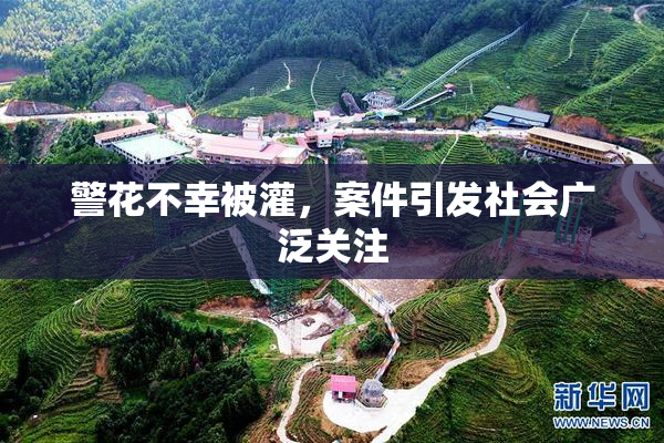 警花不幸被灌，案件引发社会广泛关注