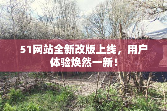 51网站全新改版上线，用户体验焕然一新！