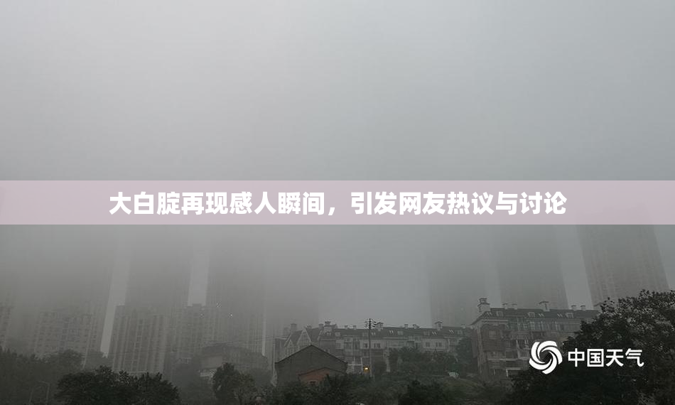 大白腚再现感人瞬间，引发网友热议与讨论