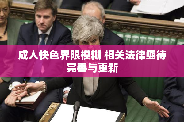 成人快色界限模糊 相关法律亟待完善与更新
