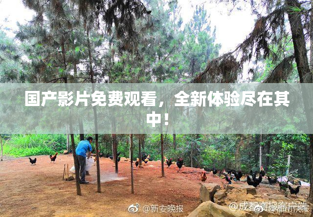 国产影片免费观看，全新体验尽在其中！