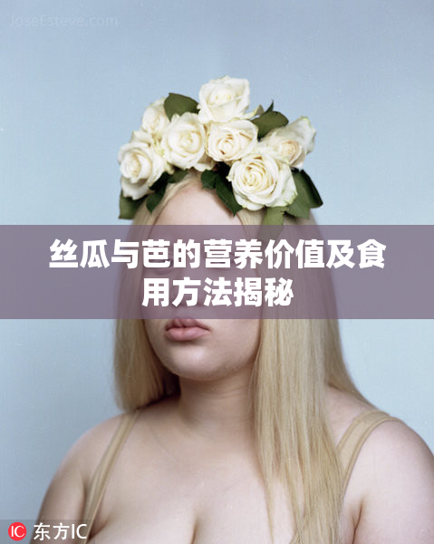 丝瓜与芭的营养价值及食用方法揭秘