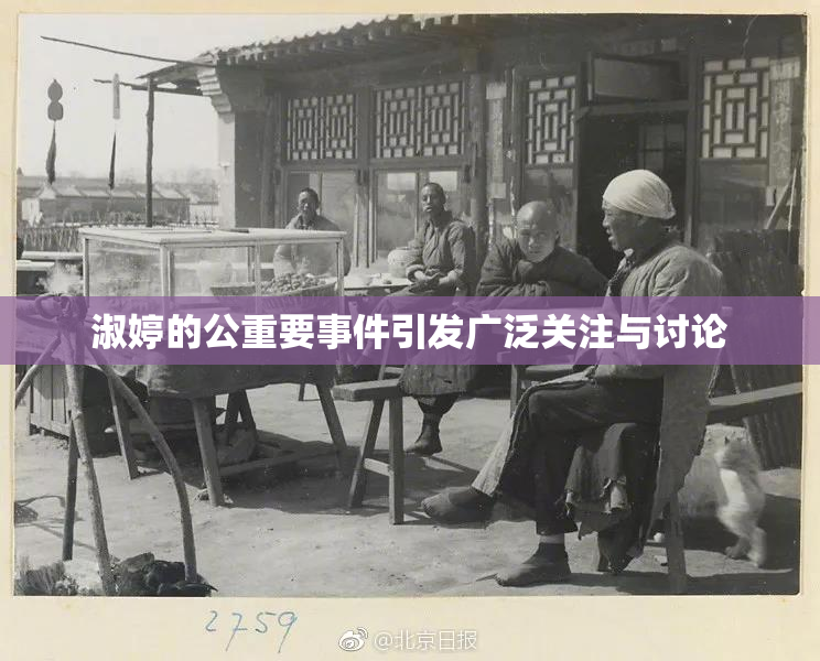 淑婷的公重要事件引发广泛关注与讨论