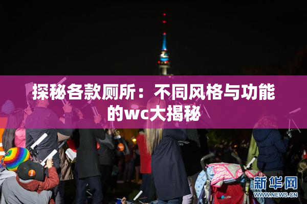 探秘各款厕所：不同风格与功能的wc大揭秘