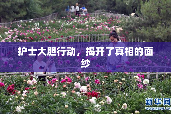护士大胆行动，揭开了真相的面纱