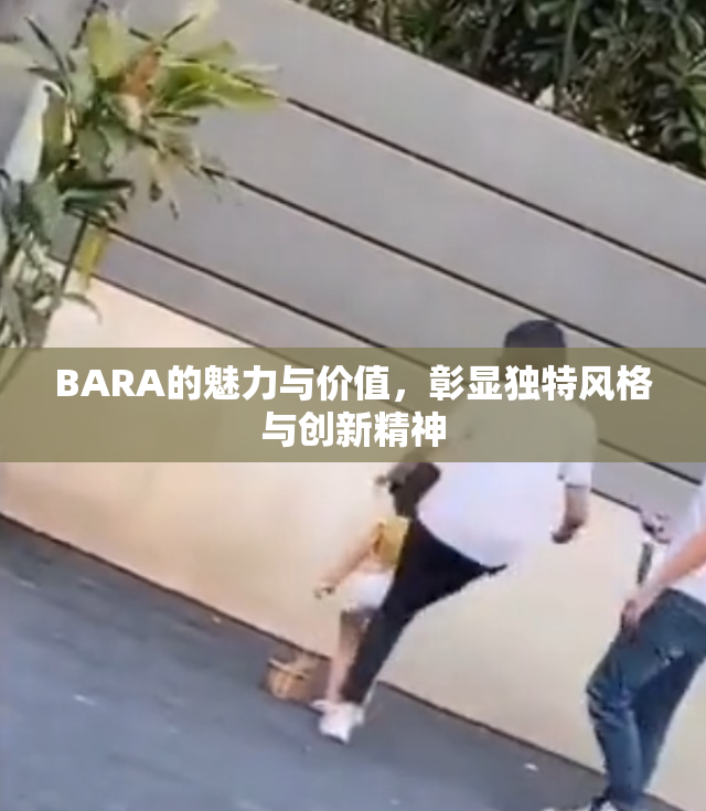BARA的魅力与价值，彰显独特风格与创新精神