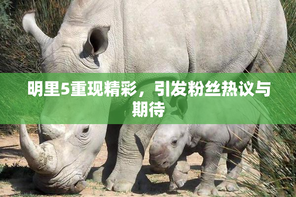 明里5重现精彩，引发粉丝热议与期待