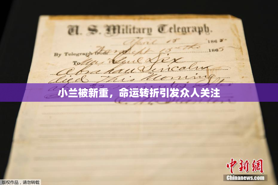 小兰被新重，命运转折引发众人关注