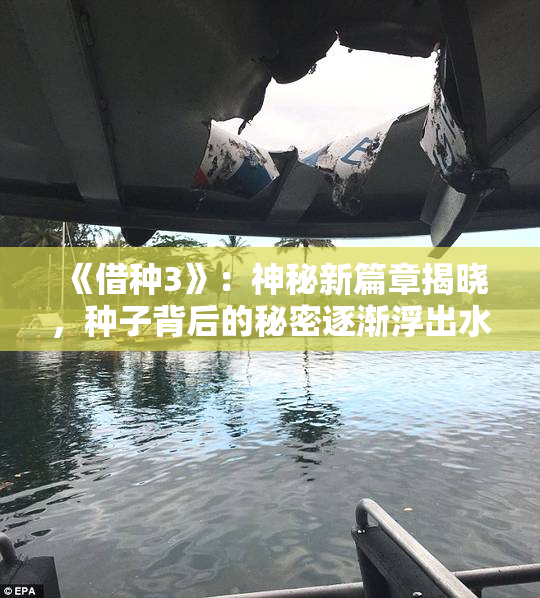 《借种3》：神秘新篇章揭晓，种子背后的秘密逐渐浮出水面！