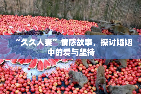 “久久人妻”情感故事，探讨婚姻中的爱与坚持