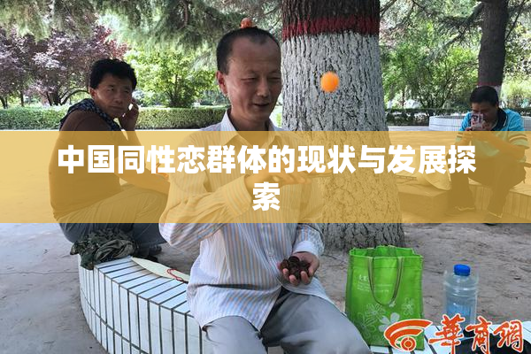 中国同性恋群体的现状与发展探索