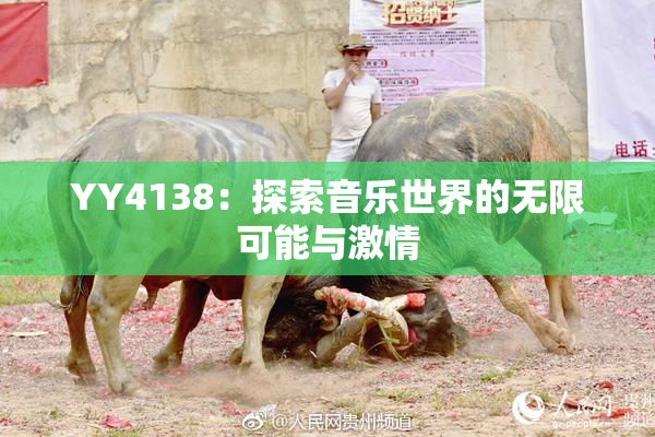 YY4138：探索音乐世界的无限可能与激情