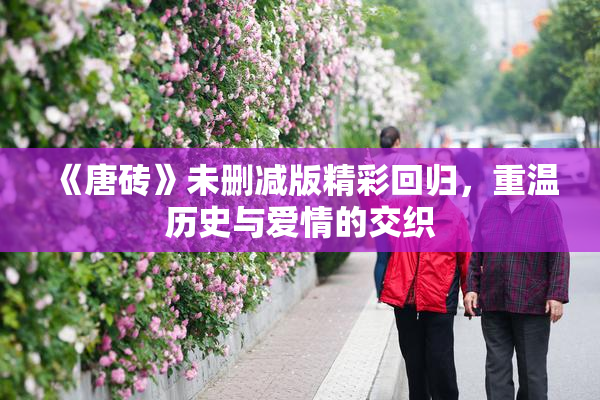 《唐砖》未删减版精彩回归，重温历史与爱情的交织