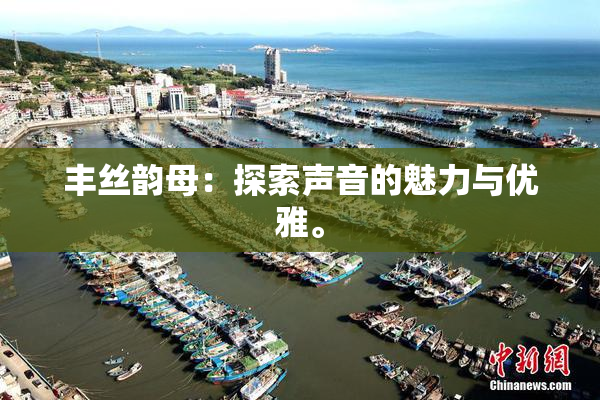 丰丝韵母：探索声音的魅力与优雅。
