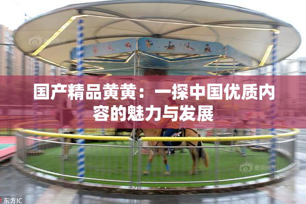 国产精品黄黄：一探中国优质内容的魅力与发展
