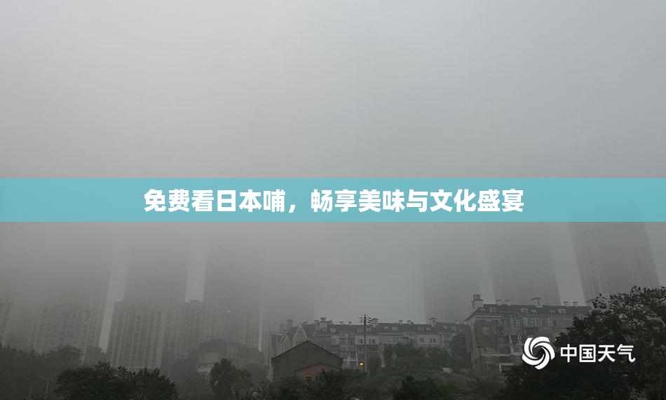 免费看日本哺，畅享美味与文化盛宴