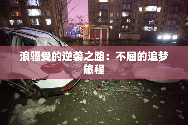 浪骚受的逆袭之路：不屈的追梦旅程