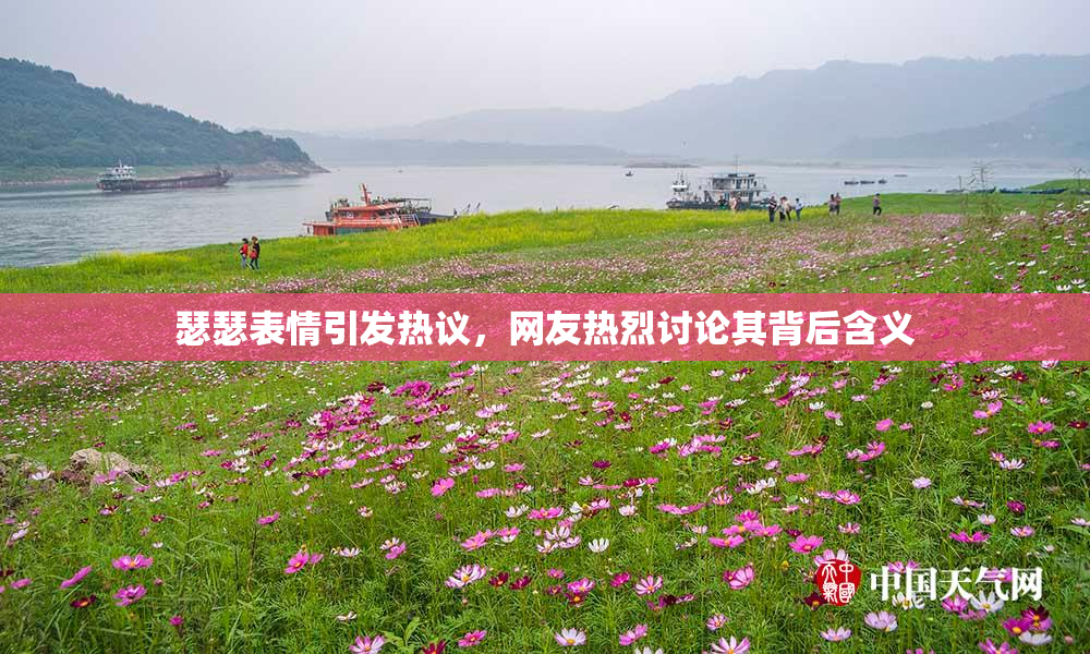 瑟瑟表情引发热议，网友热烈讨论其背后含义