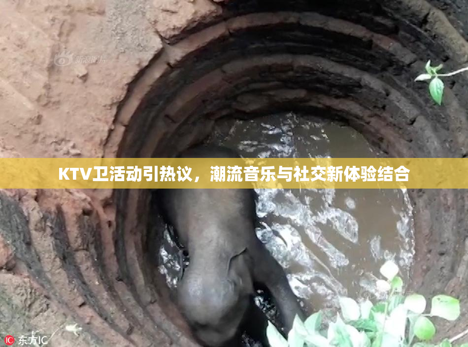 KTV卫活动引热议，潮流音乐与社交新体验结合