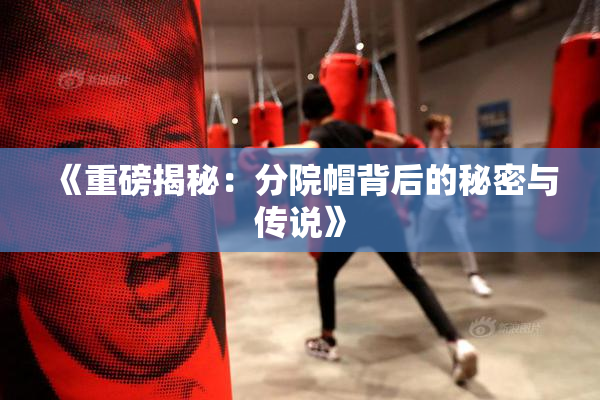 《重磅揭秘：分院帽背后的秘密与传说》