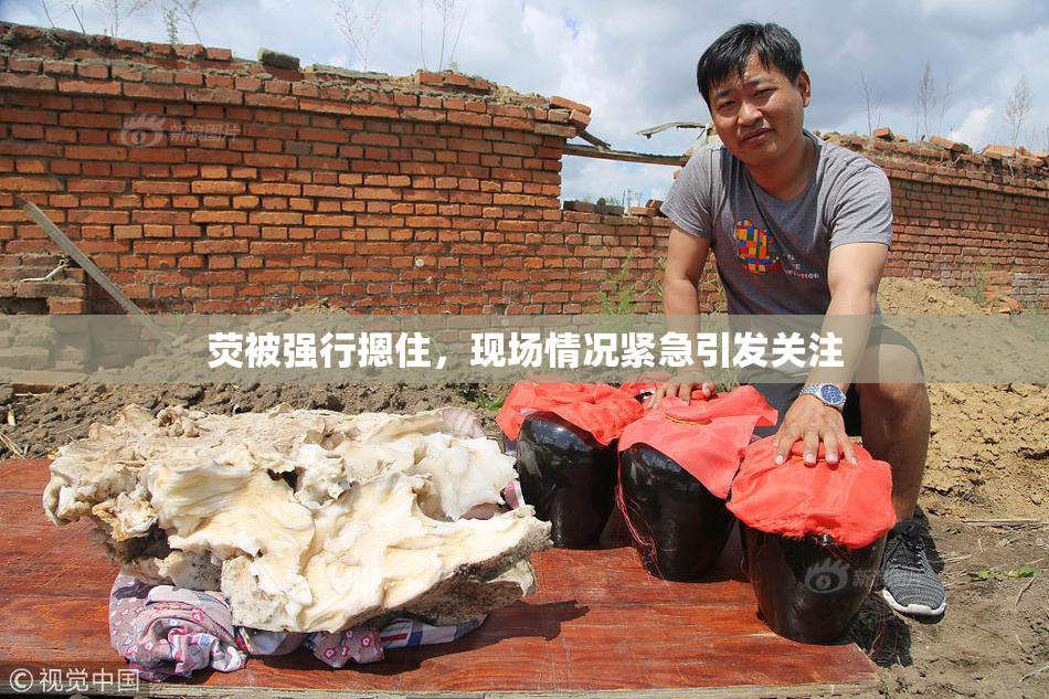 荧被强行摁住，现场情况紧急引发关注