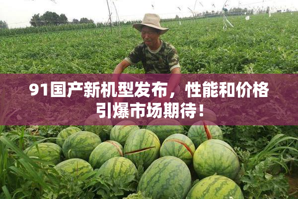 91国产新机型发布，性能和价格引爆市场期待！