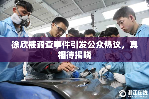 徐欣被调查事件引发公众热议，真相待揭晓