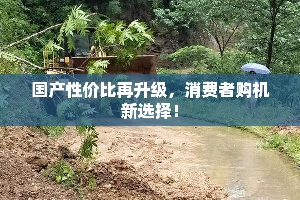 国产性价比再升级，消费者购机新选择！