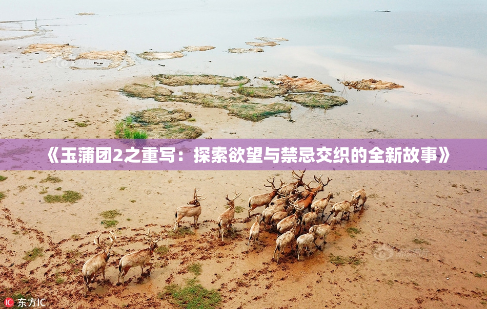 《玉蒲团2之重写：探索欲望与禁忌交织的全新故事》