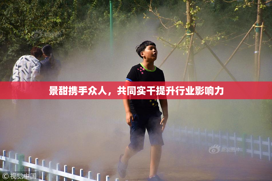 景甜携手众人，共同实干提升行业影响力
