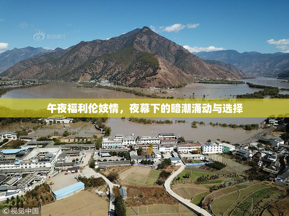 午夜福利伦妓情，夜幕下的暗潮涌动与选择