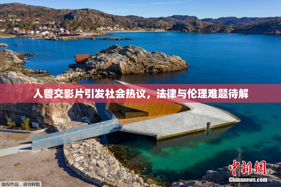人兽交影片引发社会热议，法律与伦理难题待解