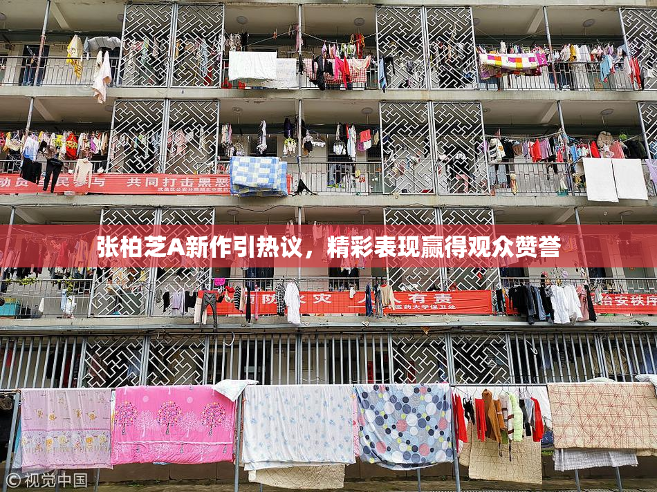 张柏芝A新作引热议，精彩表现赢得观众赞誉
